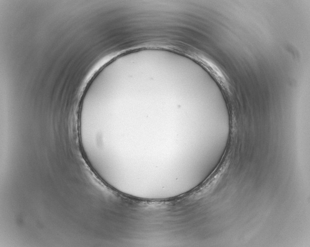 X0000115250808200911271903