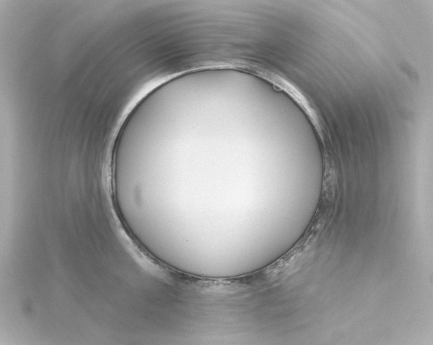 X0000115250811200911271903