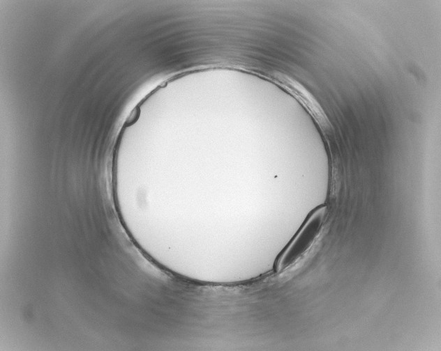 X0000115250812200911271903