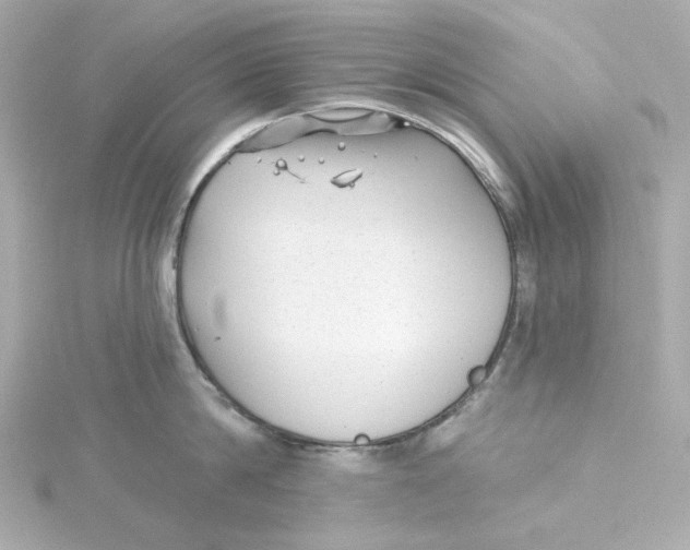 X0000115250814200911271903