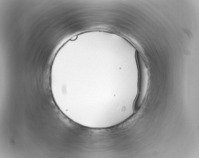 X0000115250816200911271903