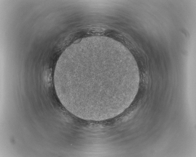 X0000115250818200911271902