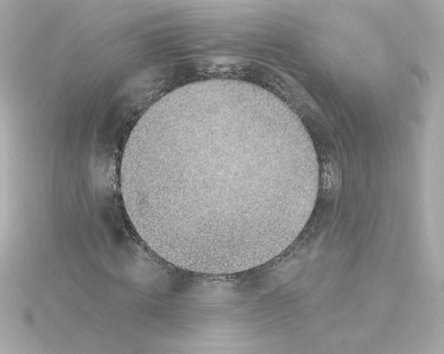 X0000115250820200911271902