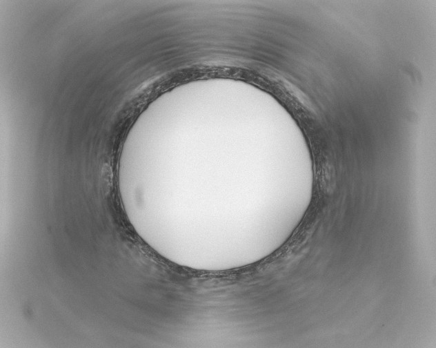 X0000115250821200911271902