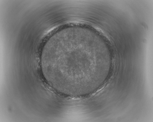 X0000115250822200911271902