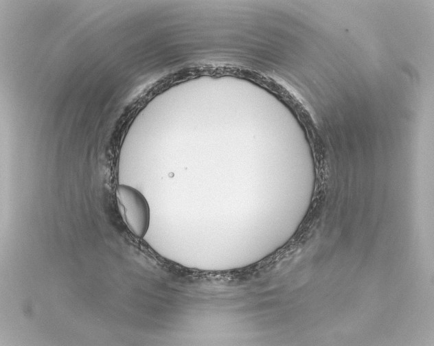 X0000115250823200911271902