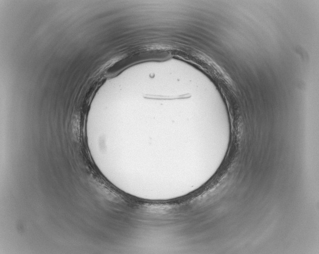 X0000115250825200911271903