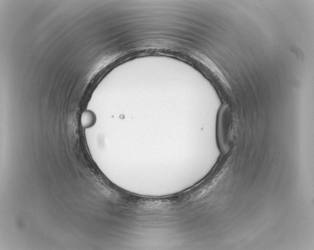 X0000115250826200911271903