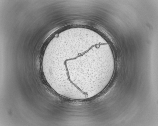 X0000115250829200911271903