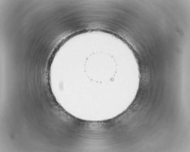 X0000115250832200911271903