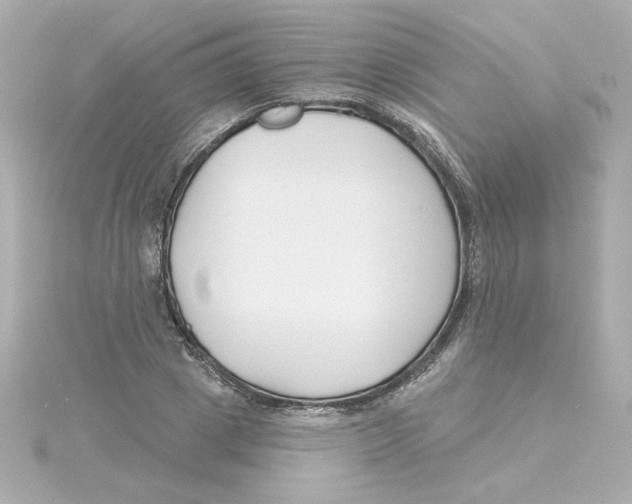 X0000115250833200911271903