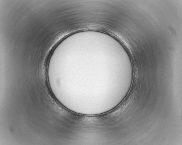 X0000115250835200911271903