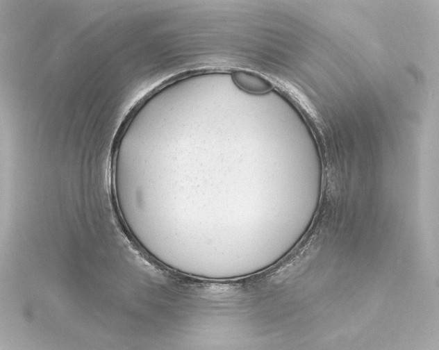 X0000115250839200911271903