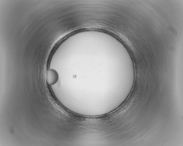 X0000115250840200911271903