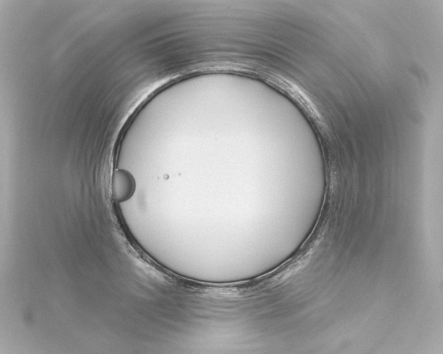 X0000115250844200911271903