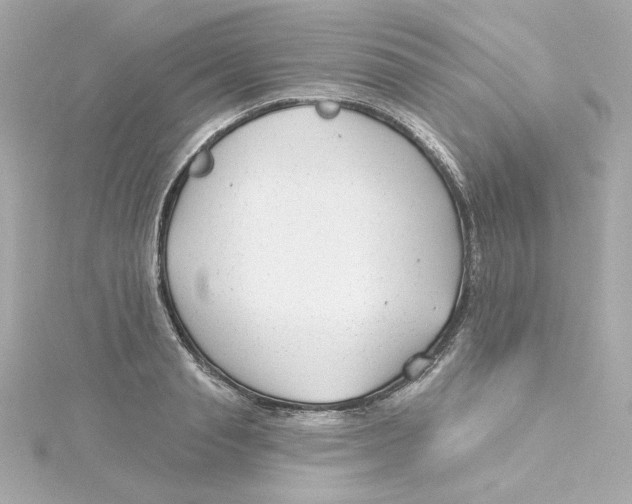 X0000115250845200911271903