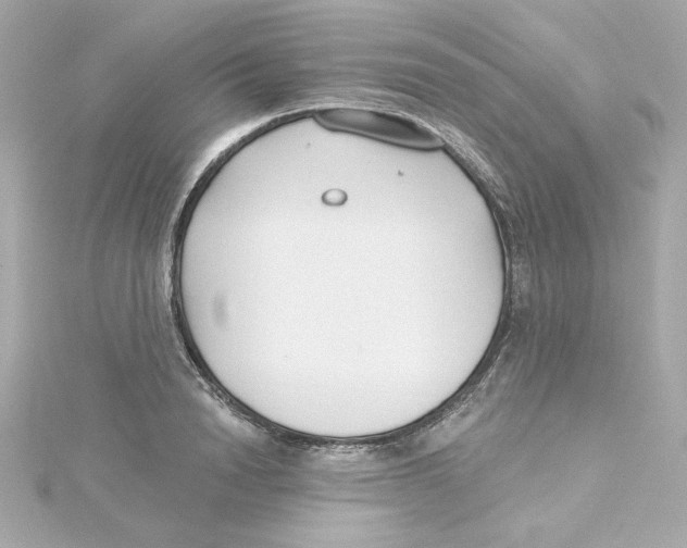 X0000115250846200911271903