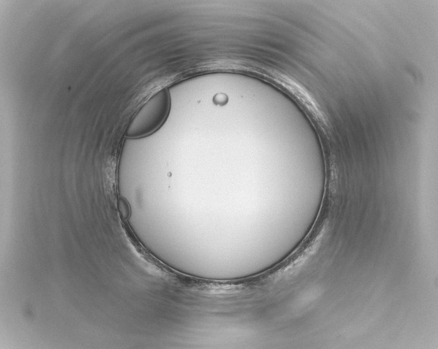 X0000115250849200911271903