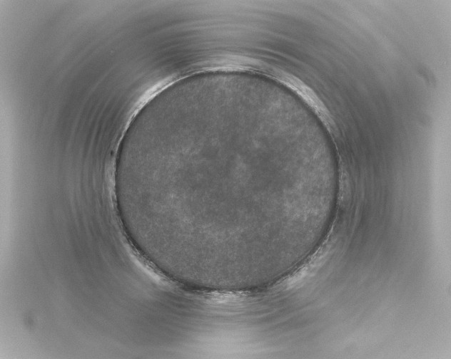 X0000115250850200911271903