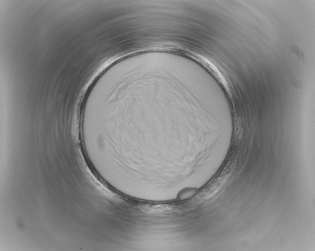 X0000115250851200911271903