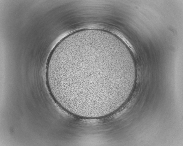 X0000115250853200911271903