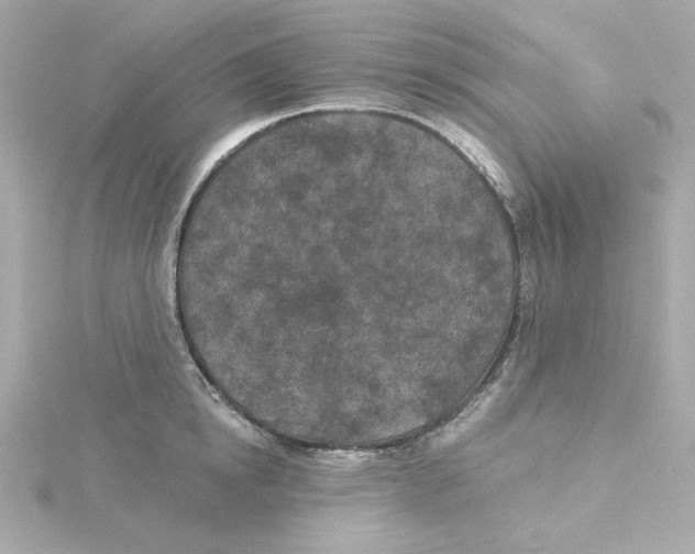 X0000115250854200911271903