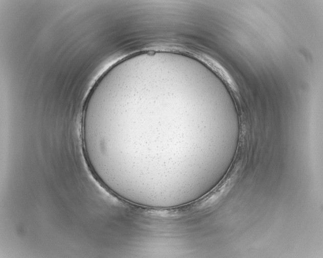 X0000115250855200911271903