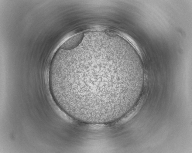 X0000115250859200911271903