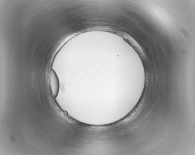 X0000115250860200911271903