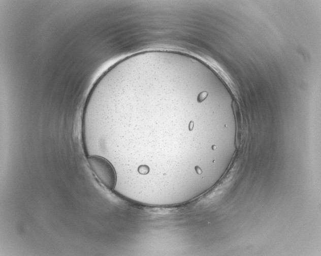 X0000115250862200911271903