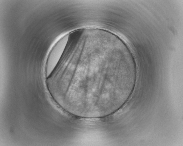 X0000115250864200911271903