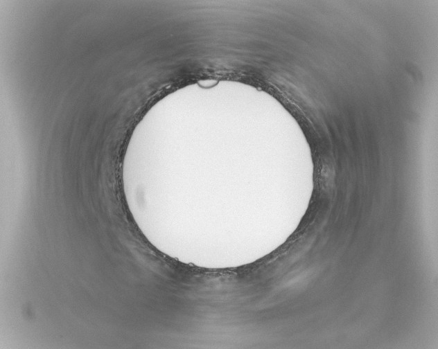 X0000115250865200911271902