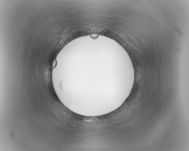 X0000115250866200911271902