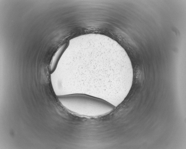 X0000115250868200911271902