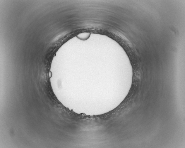 X0000115250869200911271902