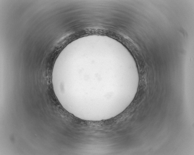 X0000115250870200911271902