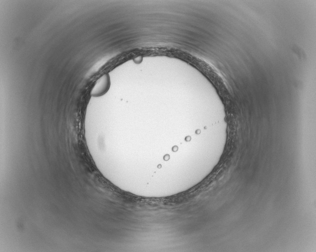 X0000115250871200911271902