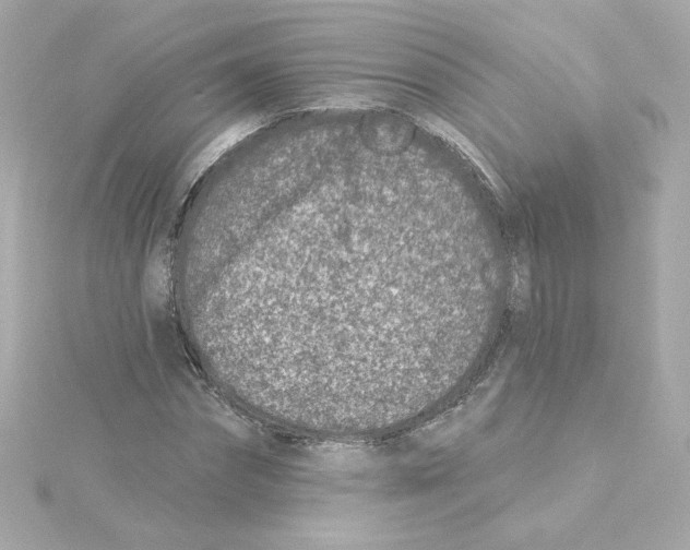 X0000115250874200911271902