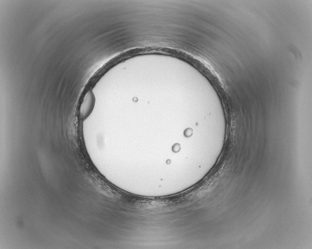 X0000115250879200911271902