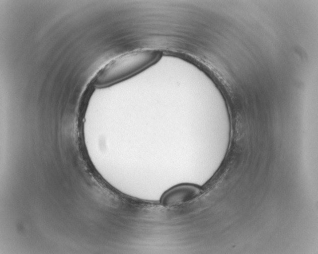 X0000115250880200911271902