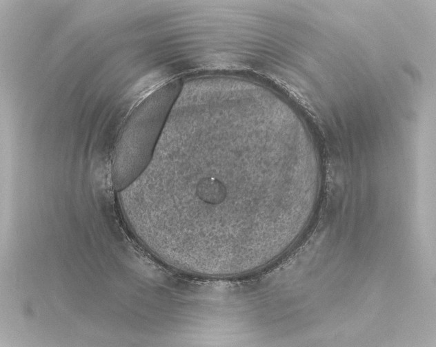 X0000115250881200911271902