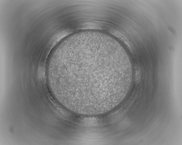 X0000115250882200911271902