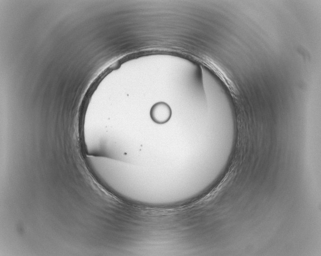 X0000115250884200911271902