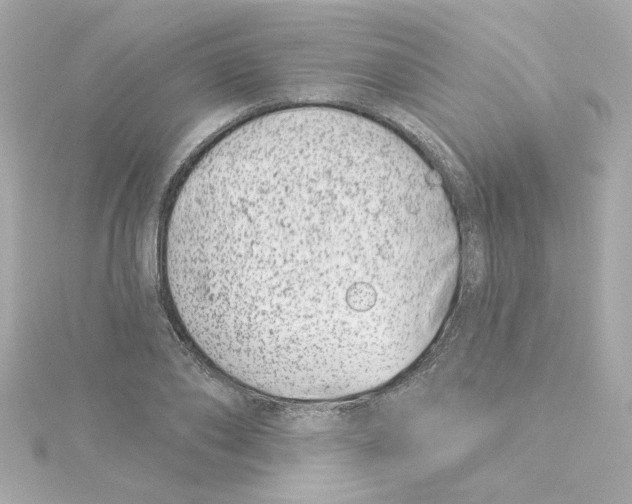 X0000115250886200911271902