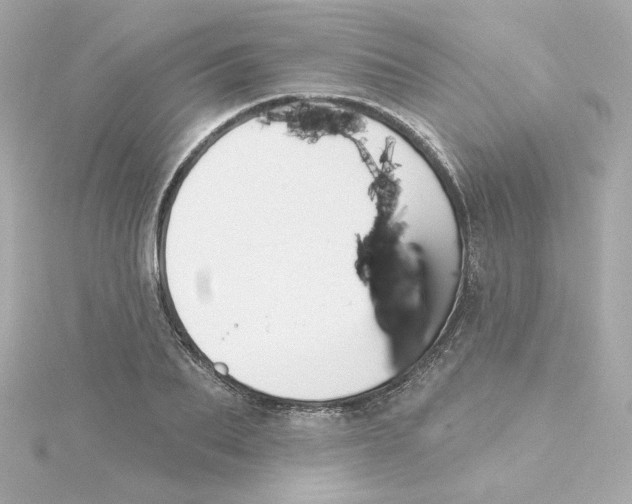 X0000115250887200911271902