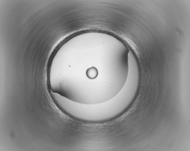 X0000115250888200911271902