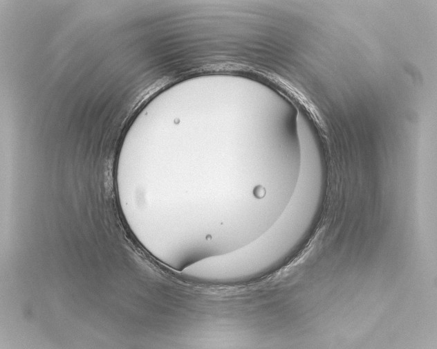 X0000115250889200911271902