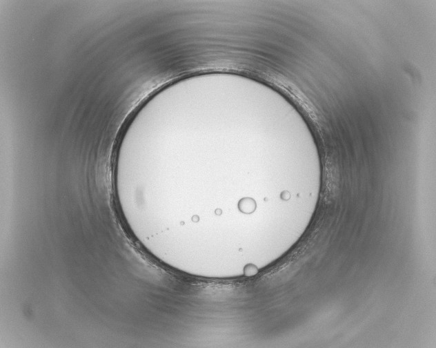 X0000115250890200911271902