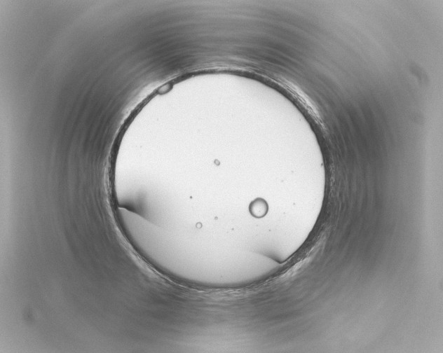 X0000115250893200911271902