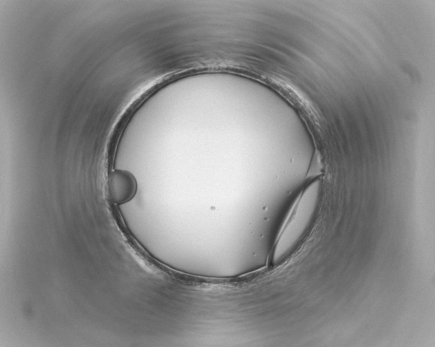 X0000115250894200911271902